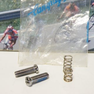 Campagnolo Record-chorus rear derailleur adjusting screws